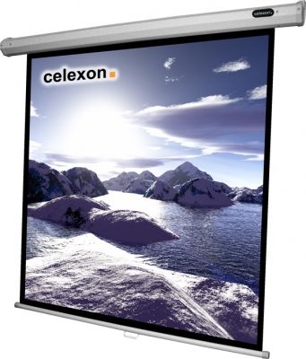 Celexon 1090252 - Projectiescherm - 200 x 200 cm - 1:1 - Zwart/Wit