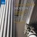 Outhere Naxos Andrea Lauren Brown, Markus Schäfer, Daniel Ochoa, Simon Mayr Chorus, Concerto de Bassus, I Virtuosi Italiani, Franz Hauk - Mayr: Motets 2 (CD)