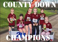 County Down Champions
