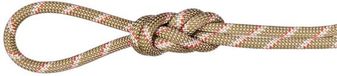 Mammut Alpine Classic 8 Mm Touw Goud 60 m