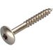 Vis à bois 4x35 filetée sur 20 Torx T20 Acier nickelé - 100 pièces