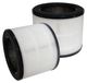 Coway Filtre HEPA de remplacement pour Airmega 100, 2-Pack