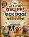 Healthy Recipes for Sick Dogs 2026