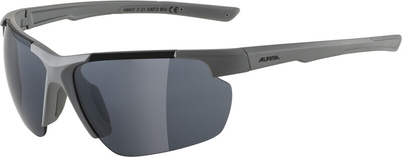 Alpina Defey HR Glasses