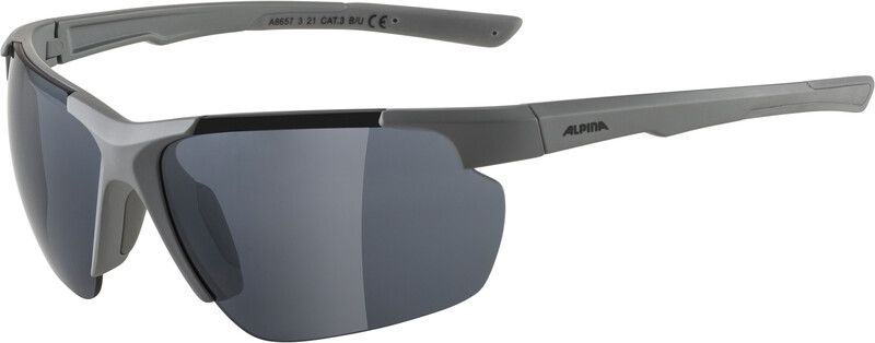 Alpina Defey HR Glasses - 4003692309488
