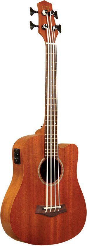 Gold Tone M-BASS - 0875116003227