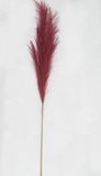Buitengewoon Boet Buitengewoon de Boet Pampas gras 100cm rood kunstbloem zijde nepbloem