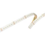 Barthelme 51542633 LED-strip Met soldeeraansluiting 24 V/DC 5000 mm RGBW 5 m