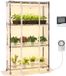 VEVOR Plantenplank met Kweeklamp, 4-Laags Plantenstandaard met Transparante Deksel, Timer en Hygrometer, 180w Full-Spectrumlampen, Bloemenplank voor Kamerplanten 90x35x150 cm
