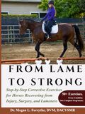 From Lame to Strong: Step-by-Step Corrective Exercises for Horses Recovering from Injury, Surgery, and Lameness
