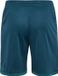 Hummel Hmlblaze Club 26 Poly Shorts