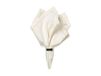 Broste Copenhagen Serviette Elin 45x45 cm blanc cassé