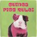 spreuktegel Deco Tile Guinea Pig Spreuktegel