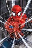 Marvel Spider-Man Gotcha Poster 61x91.5cm