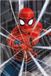 Marvel Spider-Man Gotcha Poster 61x91.5cm