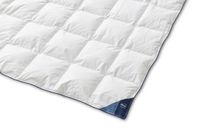 Auping Dekbed Nest zomer 260 x 220 cm - Ganzendons - Zomerdekbed