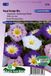 Sluis Garden - Dagschone, Driekleurige Winde Royal Ensign mix