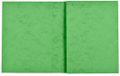 Exacompta 80x Schriftomslag in glanskarton 265g - 24x32 cm - Lindengroen