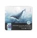 Oxford Aquarelpotlood Metaal 24 Kleuren