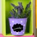 Ambiance Sticker Schoolbord muurstickers - uitwisbare zelfklevende muurstickers - LABELS 3 - 70x70cm