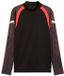 PUMA - individualfinal 1/4 zip top - Voetbal sweater heren - Wit