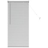 VidaXL Jaloezie & Rolgordijn Zilver Aluminium