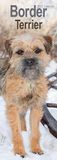Border CAROUSEL CALENDARS 2027 Border Terrier Slim Hardcover