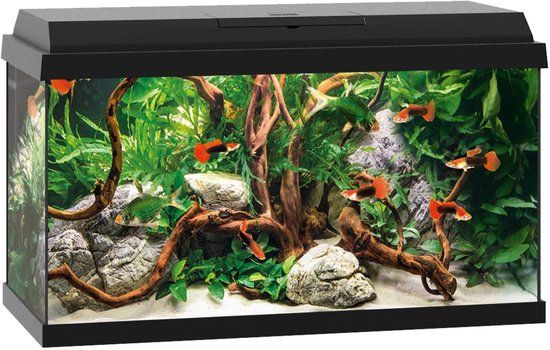Juwel Primo Aquarium - 60 L - Zwart
