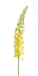 Erutan avon Eremurus spray yellow 105 cm kunstbloem