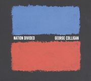 Proper S&D Consignment George Colligan - Nation Divided