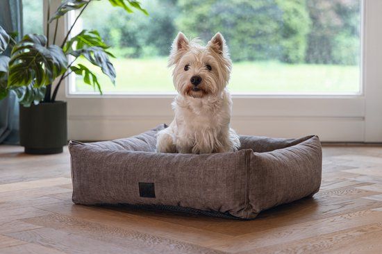 Designed by Lotte Unnay Hondenmand - Beige - 65x60x20 cm - S