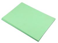House of Card & Paper A3/297 x 420 mm 220 g/m² gekleurde kaart - pastelgroen (pak van 50 vellen)