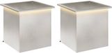 vidaXL Tuinplantenbak met led - 2 stuks - zilver - 50 x 50 x 48 cm
