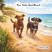 Two Tails, One Beach: A Beach Day Adventure with Sable and Remington