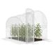 Serre tunnel de 2 x 2 m (6 m²) avec porte à charnières et film PE de 150 g/m² pour légumes, plantes et fleurs.