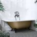 Hudson Reed Baignoire îlot demi-ronde Classique 168,5cm x 75cm - Or Métallique avec Pieds de Baignoire Noirs | Version Droite | Oxford