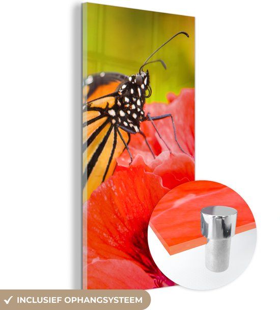 MuchoWow® Glass Painting 20x40 cm - Acrylic Glass Painting - Flowers - Butterflies - Monarch - Photo on Glass - Paintings
