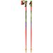 Leki Alpino WCR Pro SL Multicolor Bâtons de ski