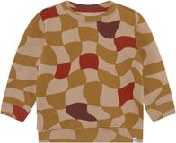 Noppies Trui Remo - Check Pattern Light Brown - Maat 116