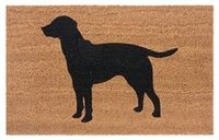 Hanse Home Kokos Deurmat voor binnen en buiten, vuilvangmat, natuur, kokosmat, voor buiten, hond, deurmat weerbestendig en antislip, voor hal, terras, entree, 45 x 75 cm