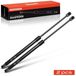 StarTech C-klasse T-model S205 Gasveren Set