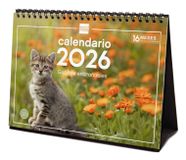 Finocam 780323826 Tafelkalender Spaans