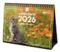 Finocam 780323826 Tafelkalender Spaans