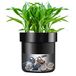 Younion Bloempot Diversion Safe met sleutelslot