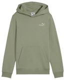 PUMA ESS 2 Color Small No. 1 Logo Hoodie FL