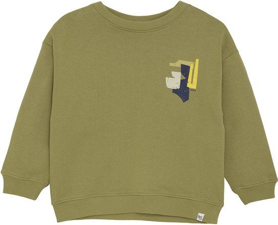 Noppies Trui Ray - Backprint - Dried Herb - Maat 116
