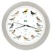 Horloge mural avec sons d'oiseaux, gris doux, 34 cm, avec 12 sons d'oiseaux différents