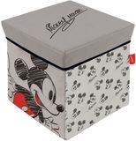 Arditex Mickey Mouse Pouf de rangement 30x30x30 cm Transparent