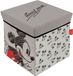 Arditex Mickey Mouse Pouf de rangement 30x30x30 cm Transparent