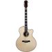 Godin Connaisseur MJ NAT RW guitare acoustique-électrique western avec étui